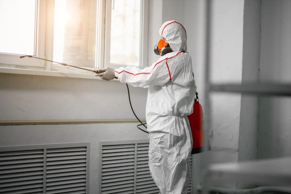 Professional mold remediation services in Pearlington, MS